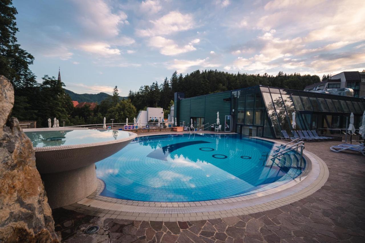 Hotel Svicarija - Terme ドブラナ エクステリア 写真