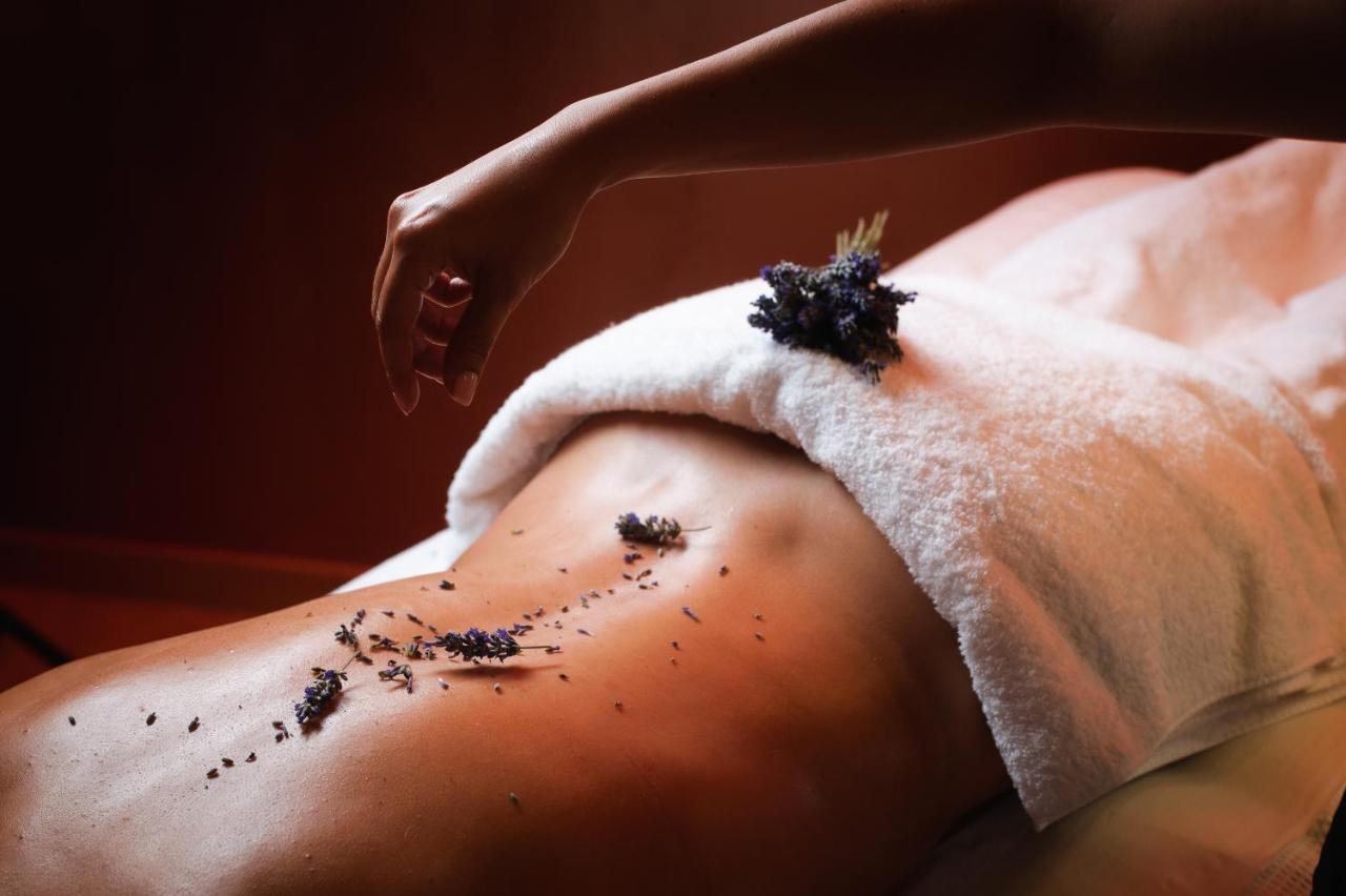 Hotel Svicarija - Terme ドブラナ エクステリア 写真
